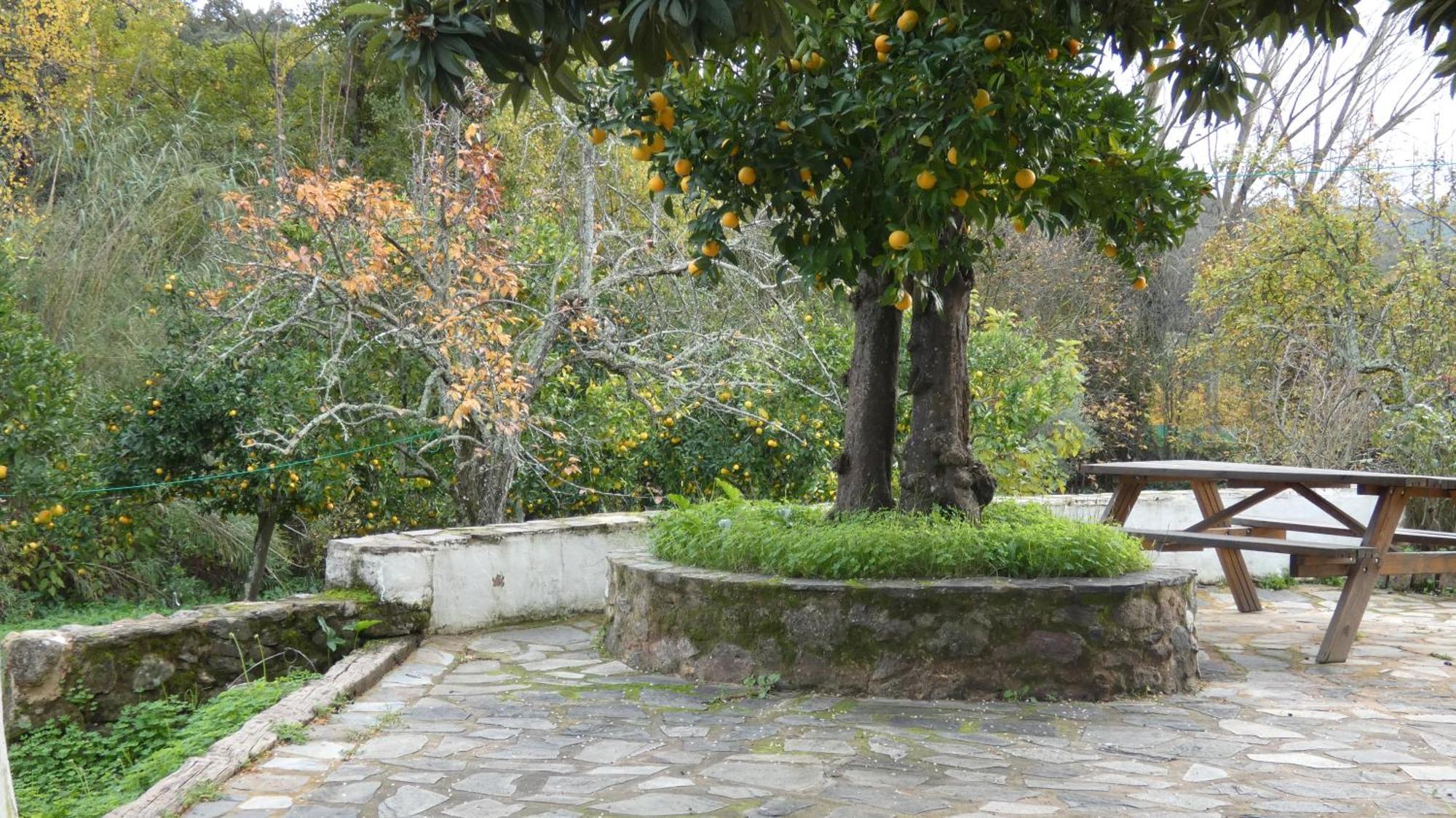Casa Rural El Riandero Linares de la Sierra Exterior photo